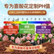 Special acidic red soil for camellia Yunnan nutritional natural planting soil balcony pot planting flower soil gardening flower soil