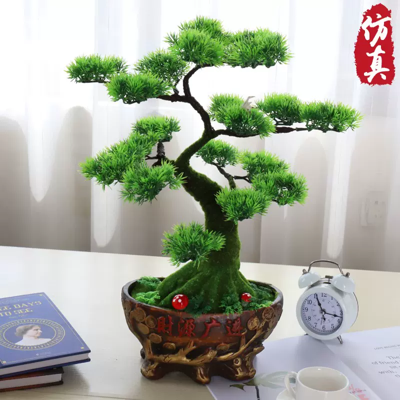 罗汉松小盆景-新人首单立减十元-2021年12月淘宝海外
