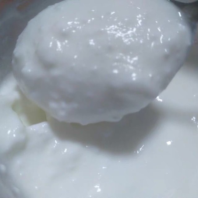 No added fermented milk Greek yogurt Fullfat No sugar grek yoghurt 400g
