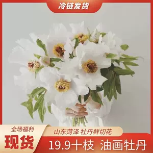 牡丹鲜花插花 新人首单立减十元 22年9月 淘宝海外