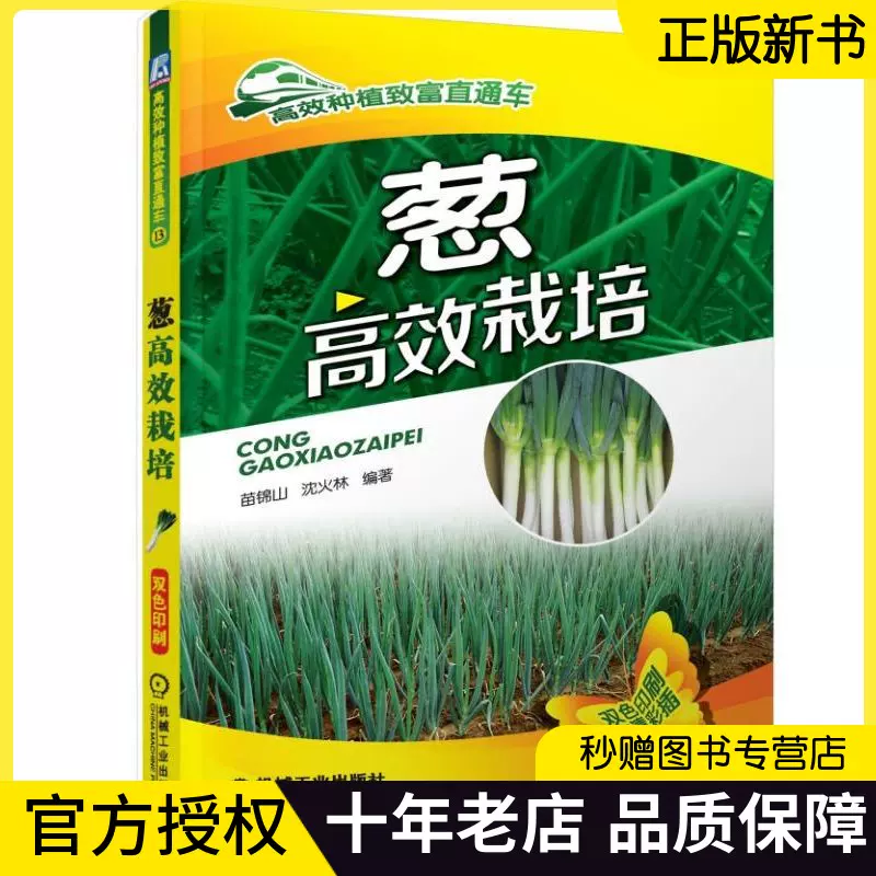 分葱种子 新人首单立减十元 21年11月 淘宝海外