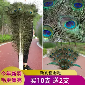 peacock tail decoration Latest Top Selling Recommendations