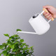 Mini small flower watering pot stainless steel succulent sprinkler kettle gardening water spray children's bird feeding kettle watering kettle 300ML