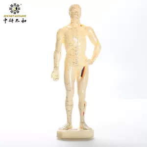 橡胶人体模型- Top 50件橡胶人体模型- 2023年11月更新- Taobao