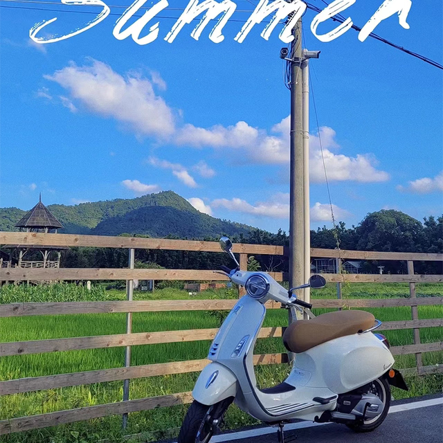 KOSO vespa Winter Electric Heating Handle Spring Sprint 150 GTS300 GTV30 Universal