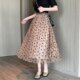 High -end French retro net gauze skirt female 2024 spring and autumn new love medium long skirt puffy skirt implanted velvet skirt

