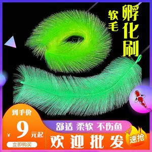 錦鯉產卵草 新人首單立減十元 22年11月 淘寶海外