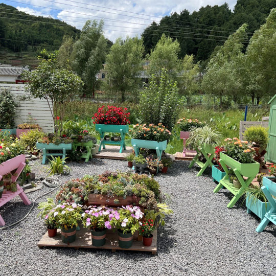 Custom-made wooden flower pots, anti-corrosion wood, cauliflower planting boxes, wooden flower stands, outdoor balcony furnishings