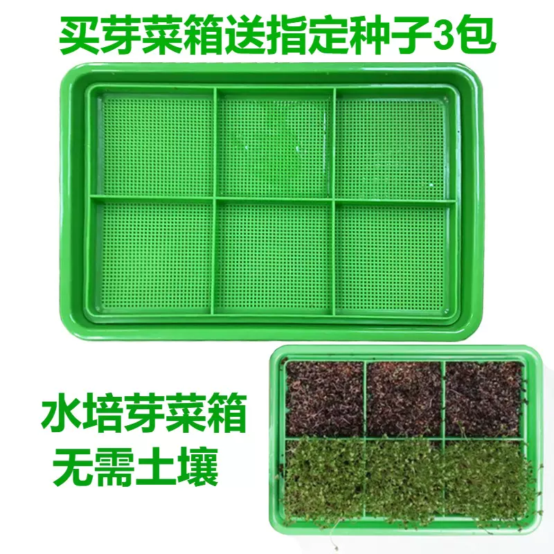 包菜种子 新人首单立减十元 21年11月 淘宝海外