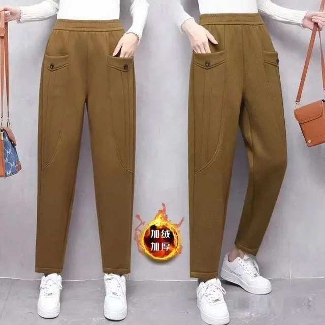 
Autumn and winter new style plus velvet high waist versatile loose slimming harem pants for women cold-proof and warm mom wear fashionable casual pants