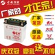 Guyue motorcycle battery 12V maintenance-free 9A moped 125 pedal curved beam car 7A universal dry water battery