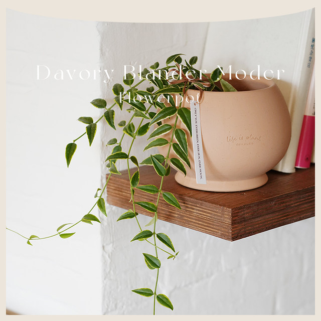 DOLV Bean Green Model Classic Flower Pot Nordic Style Parisian Painting School Home Gardening Clay Flower Pot Flower Set