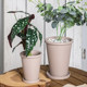 Clay international thin edges, thin and round mocha flower pot, qinye leaf, banyan green ivy succulent high and low pot with tray