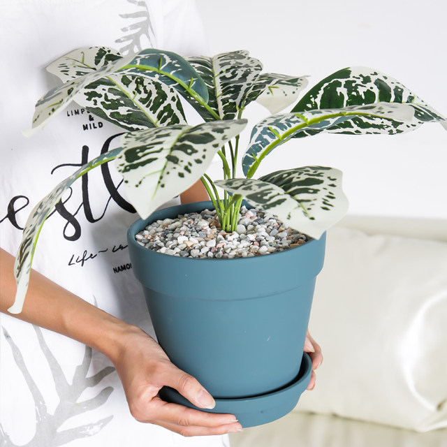 Morandi matte round colored ceramic flower pot Nordic simple succulent green plant pot indoor and outdoor special price ceramic pot
