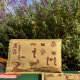 Yangsen external compress pack Yangsen official flagship store authentic Yangsen hot compress pack Aipiaopiao new Yangsen official website authentic