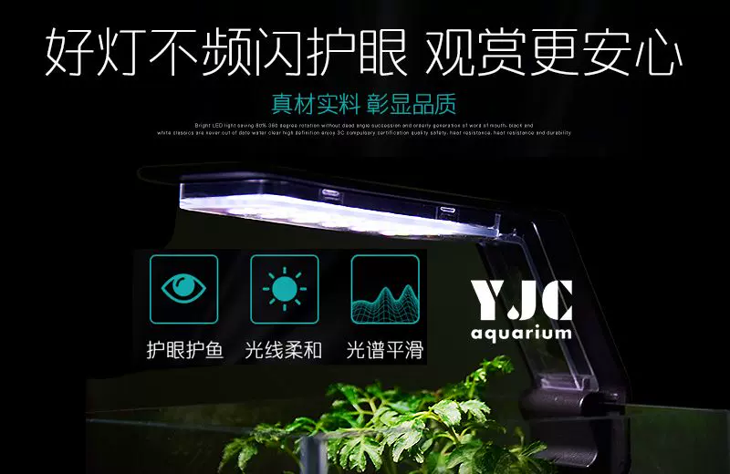 天水草灯 新人首单立减十元 21年11月 淘宝海外 天水草灯 新人首单立减十元 21年11月 淘宝海外