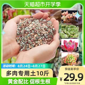 多肉植物颗粒土 新人首单立减十元 22年8月 淘宝海外