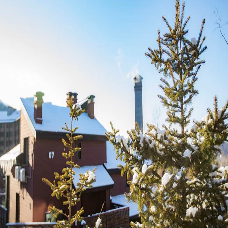 松花湖王子 新人首单立减十元 21年11月 淘宝海外