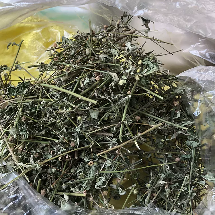 中草药梅肉草白背黄花稔黄花地桃花黄花母干货白背