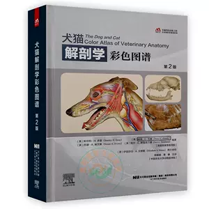 犬猫解剖学 新人首单立减十元 22年8月 淘宝海外