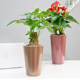 High bucket flower bucket simple pattern home floor-standing high-waisted orchid device self-absorbing water storage lazy pothos flower pot