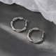 999 silver twist earrings niche new 2025 hot earrings for women light luxury high-end earrings