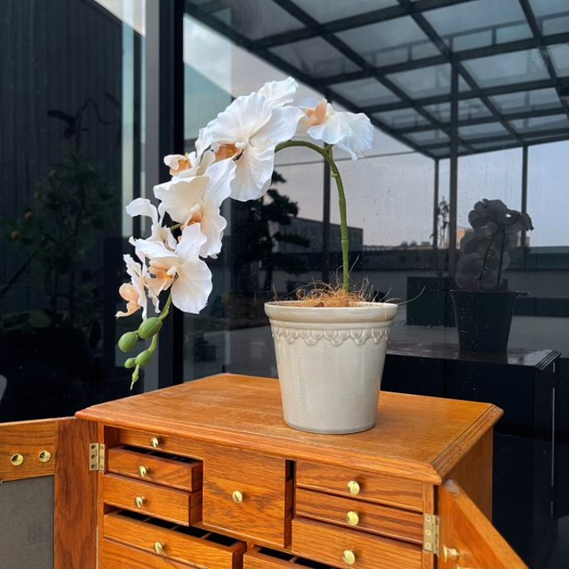 Export foreign trade French creative personality modern home furnishing succulent green plants Phalaenopsis colored akarokaro ceramic small flower pot