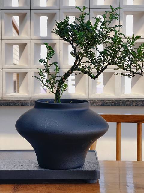 New Chinese Zen Ceramic Flower Pot High-end Bonsai Art Creative Flower Appliance Desktop Decoration Flowing Spring Maple Green Planting Pot