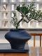 New Chinese Zen Ceramic Flower Pot High-end Bonsai Art Creative Flower Appliance Desktop Decoration Flowing Spring Maple Green Planting Pot
