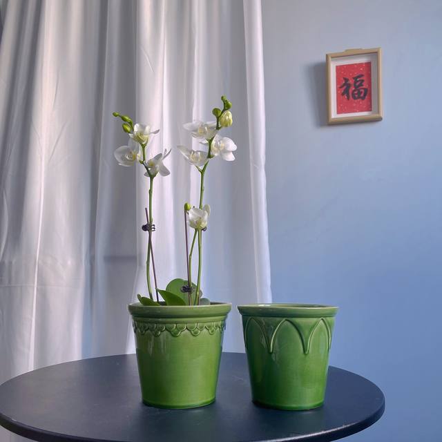 Nordic simple flower pot emperor Roman green ice crack glaze creative personality kiln transformed phalaenopsis orchid green plant set pot