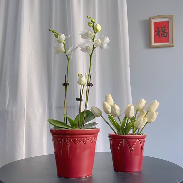 Festive red export Nordic ceramic flower pot simple ice crack glaze Phalaenopsis special Clivia flower pot