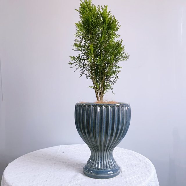 European style ceramic flowerpot export Nordic modern minimalist creative personality design indoor desktop flowerpot