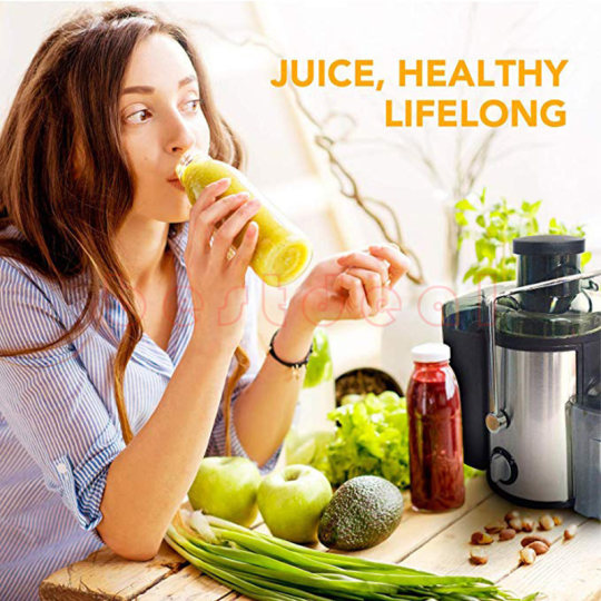 English juicer extractors blender mixer maker 800W juicer