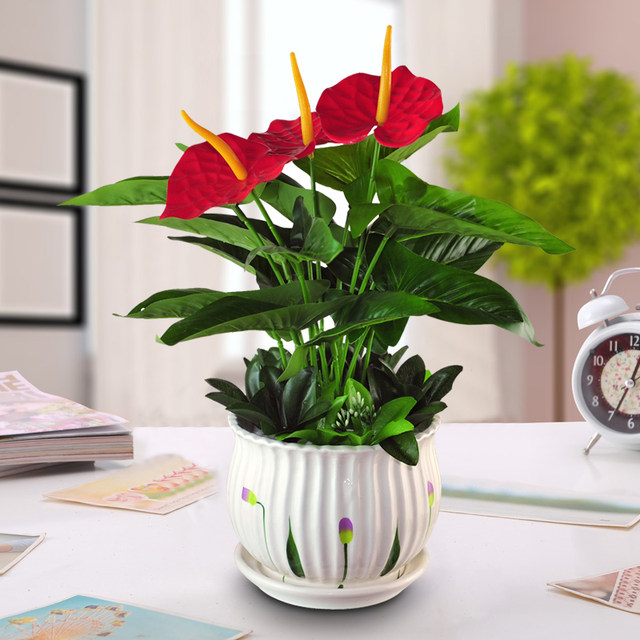 Green Simulation Green Plants Set Simulation Flower Plants Plant Home Living Room Decoration Potted Popular Furnishings Office Swing