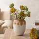 
Qinyuan Chun Van Gogh sunflower Japanese style small fresh rough pottery dried flowers home decoration ornaments vase with dried flowers.