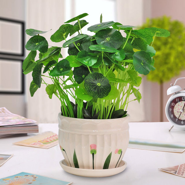 Green Simulation Green Plants Set Simulation Flower Plants Plant Home Living Room Decoration Potted Popular Furnishings Office Swing