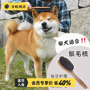 柴犬按摩梳 新人首单立减十元 22年8月 淘宝海外