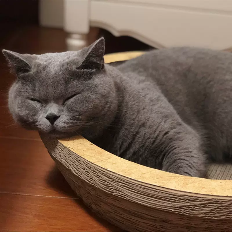 猫床纸皮-新人首单立减十元-2021年11月淘宝海外