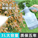 Household explosion-proof watering small watering kettle air pressure pesticide spray kettle sprayer gardening watering kettle cleaning and disinfection