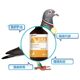 Xinlianxin Pigeon Pigeon protects the liver with anti-stress and eliminates fatigue Liver and kidney treasure 500ml
