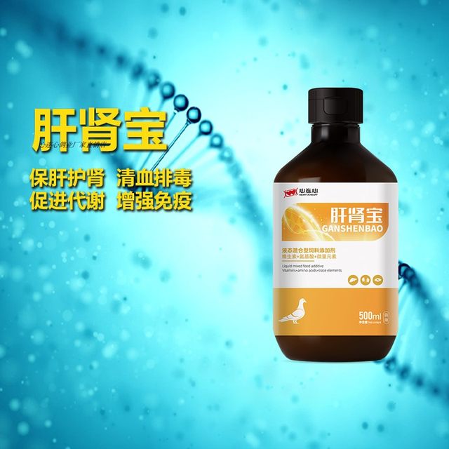 Xinlianxin Pigeon Pigeon protects the liver with anti-stress and eliminates fatigue Liver and kidney treasure 500ml
