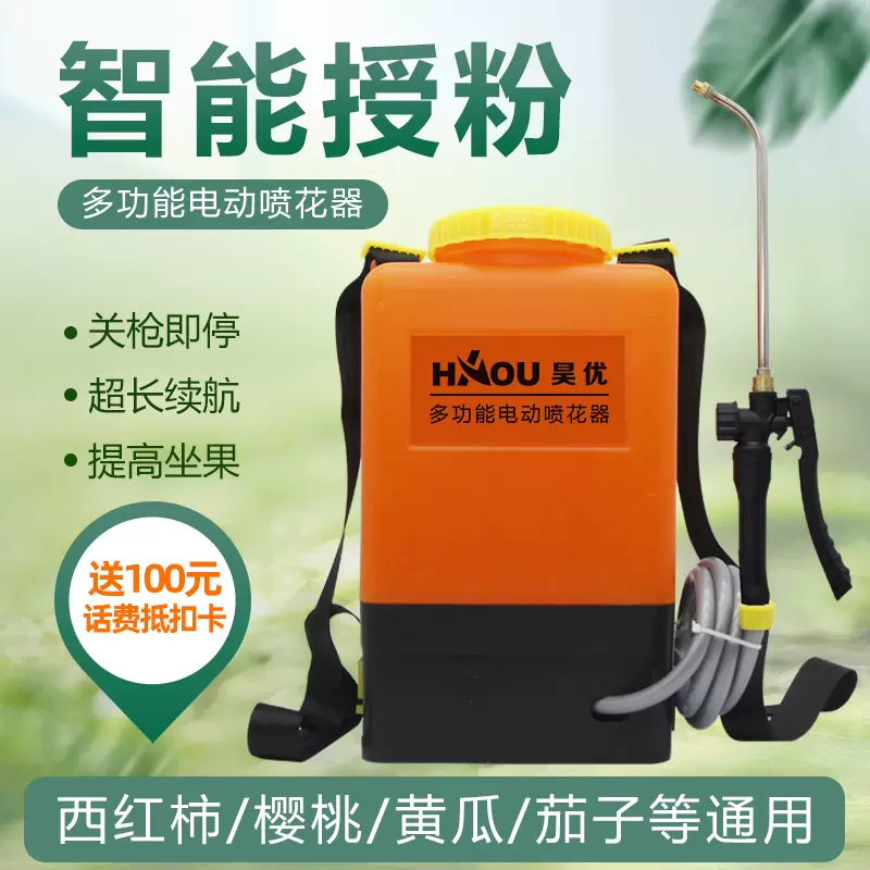 花茄子 新人首单立减十元 21年11月 淘宝海外