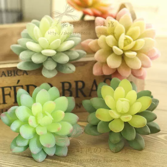 仿真多肉植物组合盆栽绿色植物墙diy材料客厅餐厅摆设装饰品批发 仿真多肉植物组合盆栽绿色植物墙diy材料客厅餐厅摆设装饰品批发