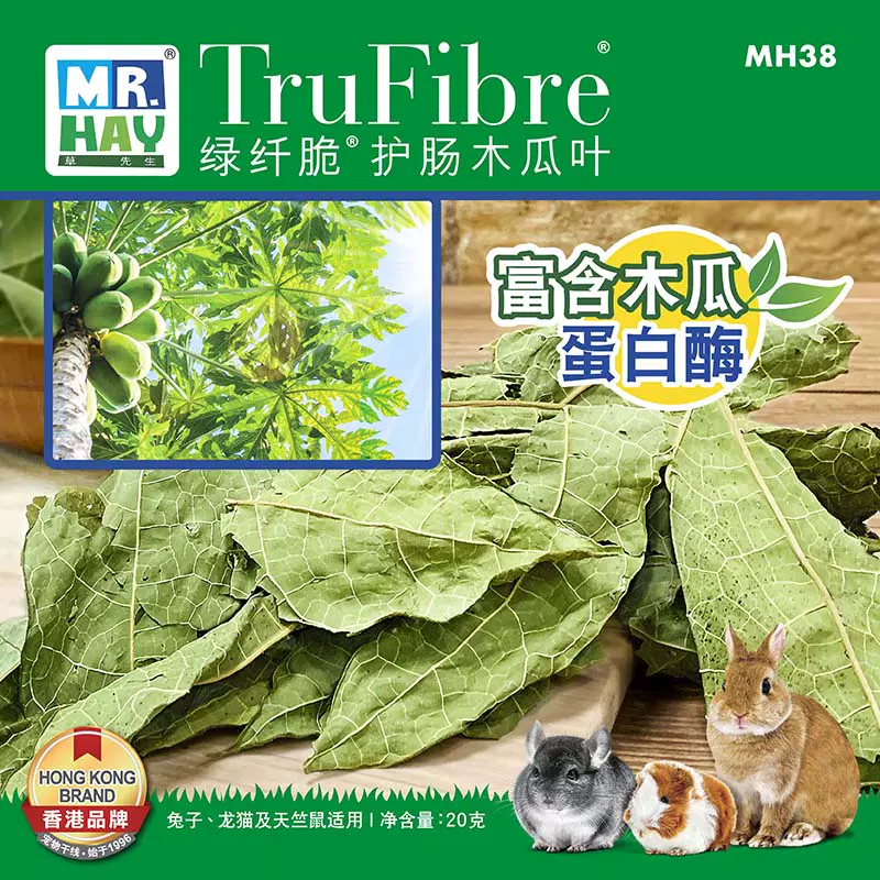 草木瓜 新人首单立减十元 22年1月 淘宝海外