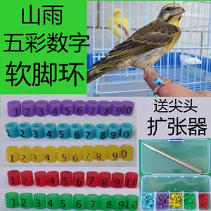 芙蓉鳥腳環 新人首單立減十元 22年11月 淘寶海外