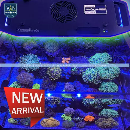 畅销海水灯美国kessil新一代ap700 Ap9x led185w聚光照明珊瑚灯