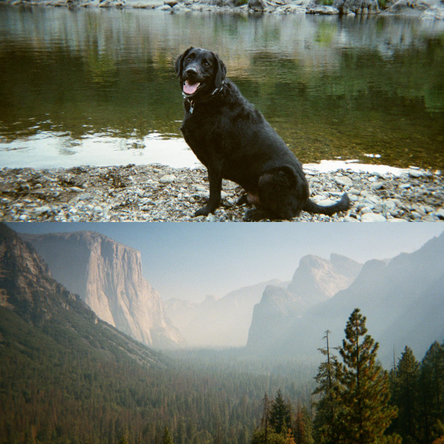 Kodak disposable film camera sky eye film point and shot camera flash color student birthday gift retro