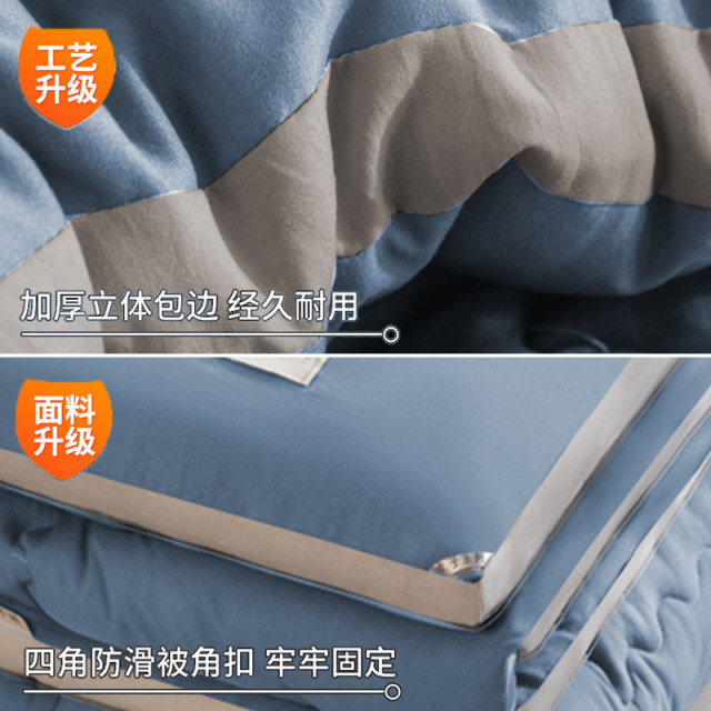 Class A quilt quilt core warm winter quilt student dormitory single spring and autumn quilt universal winter thickened cotton quilt