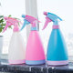 Watering kettle for watering flowers, succulent spray bottle, gardening, small household watering kettle, indoor sprayer, watering kettle, small watering kettle