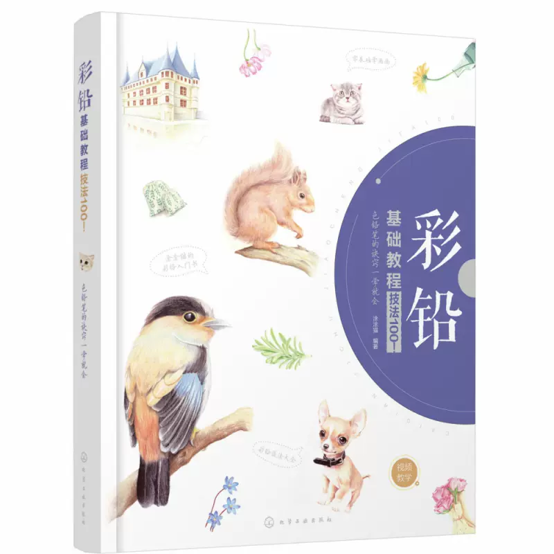 彩色鉛筆基礎教程技法100 色鉛筆的訣竅一學就會簡筆畫女王塗塗貓的彩色鉛筆入門書5大主流題材12節影片微課零基礎學畫畫彩色鉛筆技法大全